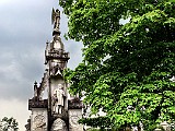 IMG 6531