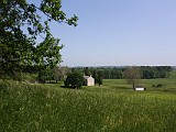 IMG 1219
