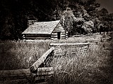 IMG 6203